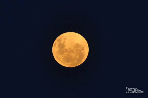 Lua cheia e majestosa na praia dos Ingleses, no norte de Florianópolis, Santa Catarina